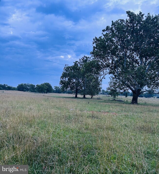 No Address Assigned. Cather Rd, Berryville, VA 22611 - photo 3