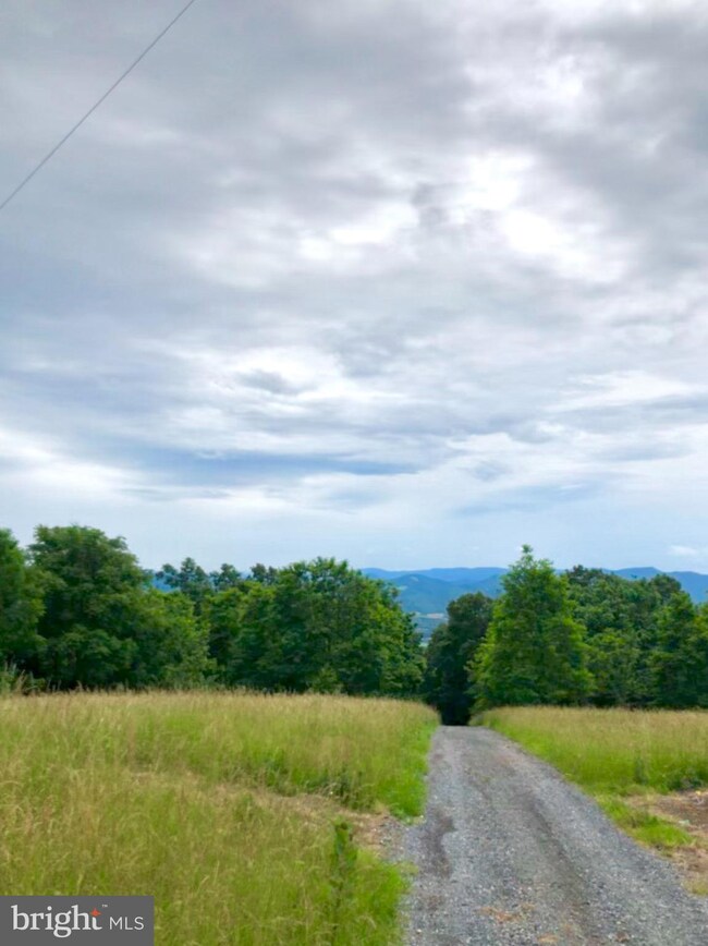 27.16 ACRES Charlies Knob, Petersburg, WV 26847 - photo 7