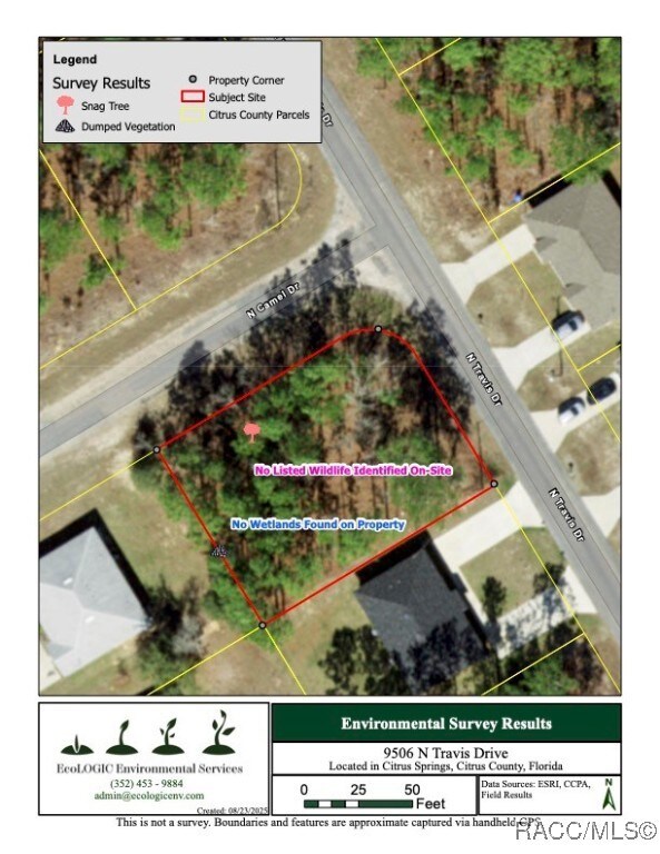 9506 N Travis Dr, Citrus Springs, FL 34434 - photo 5