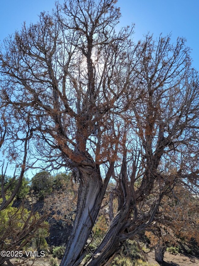 00755 Pinon Crest Way, McCoy, CO 80463 - photo 3
