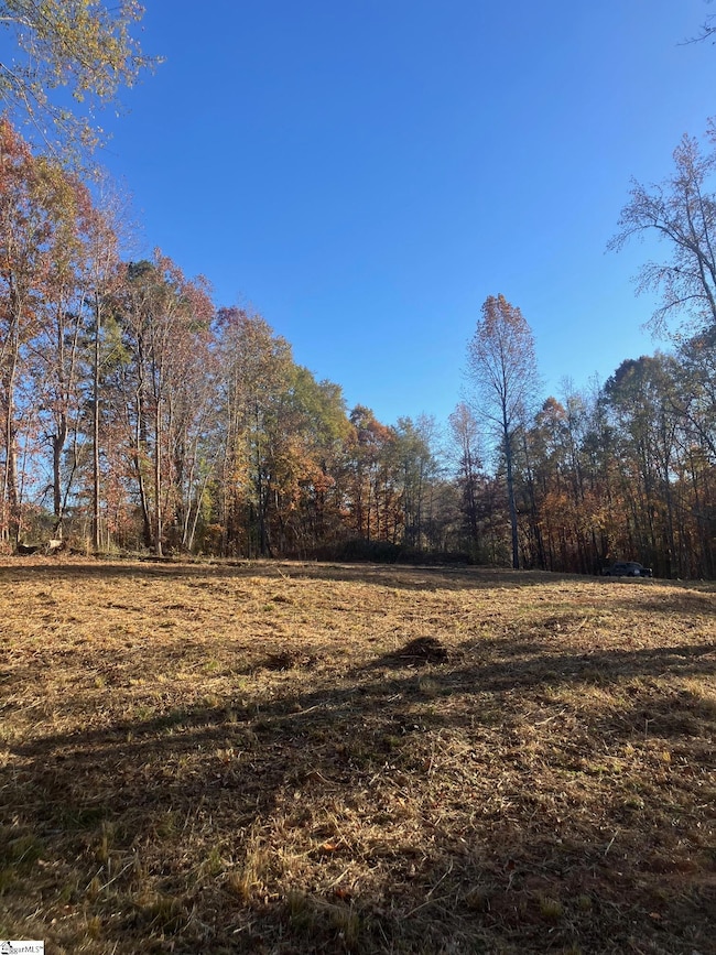 38 Coster Rd, Travelers Rest, SC 29690 - photo 2