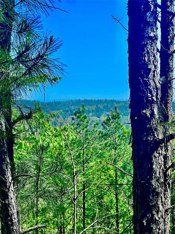 Property view of mountains with a forest view