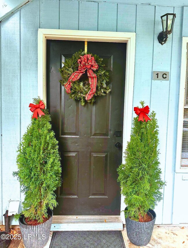 25 Sams Point Rd unit 1c, Beaufort, SC 29907 - photo 4