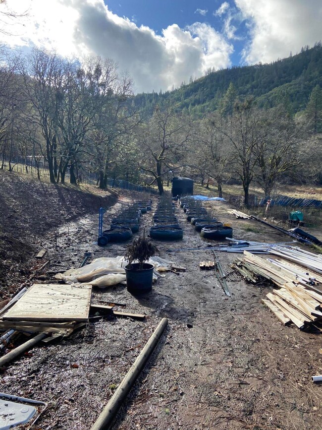 5954 Castle Terrace, Central Point, OR 97502 - photo 7