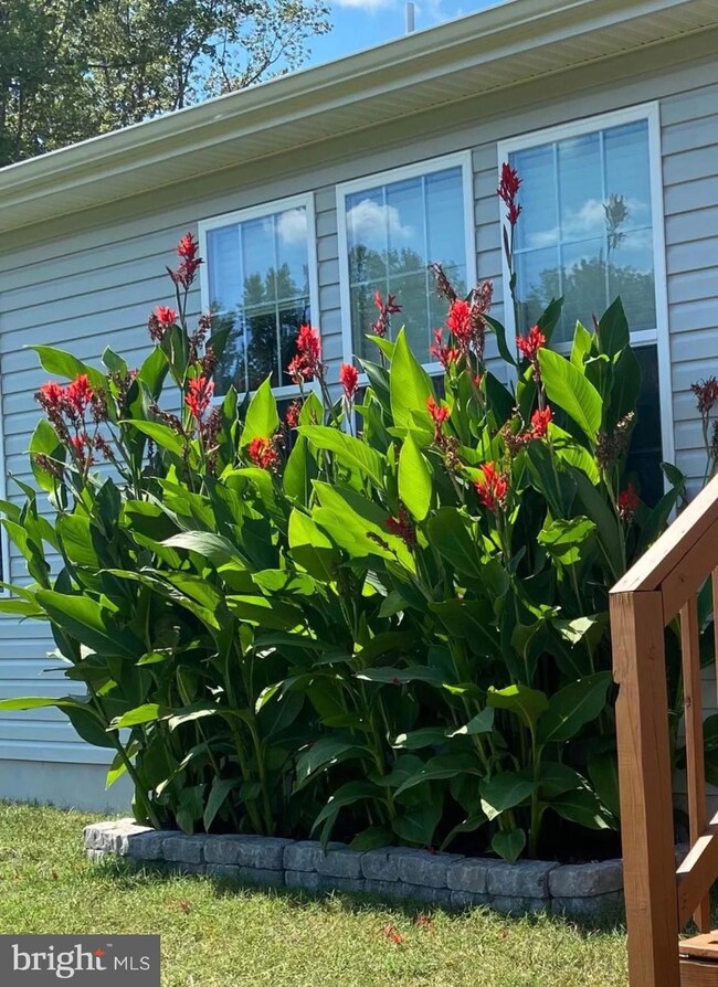 11 Lois Ct, Felton, DE 19943 - photo 6