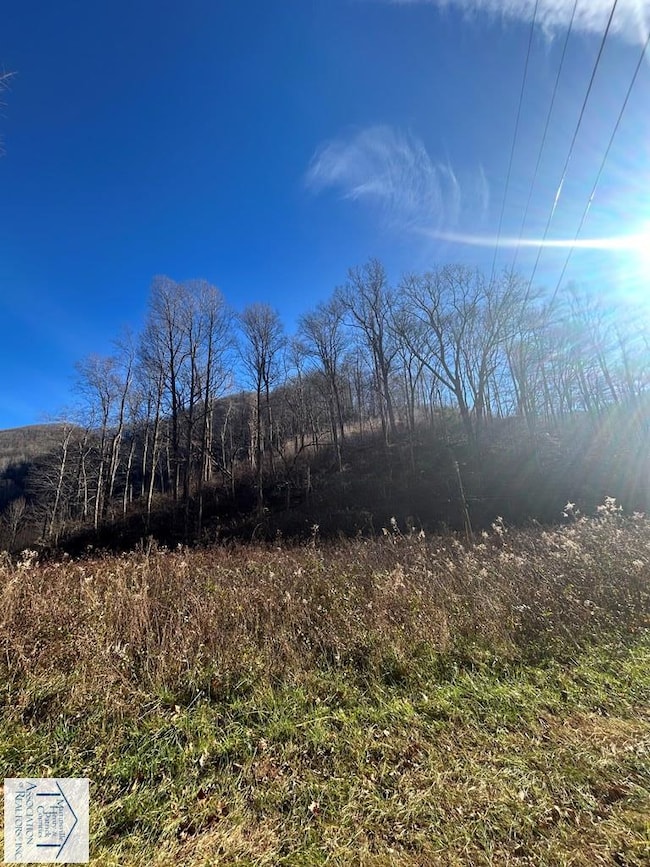 00 Kibler Valley Rd, Ararat, VA 24053 - photo 2