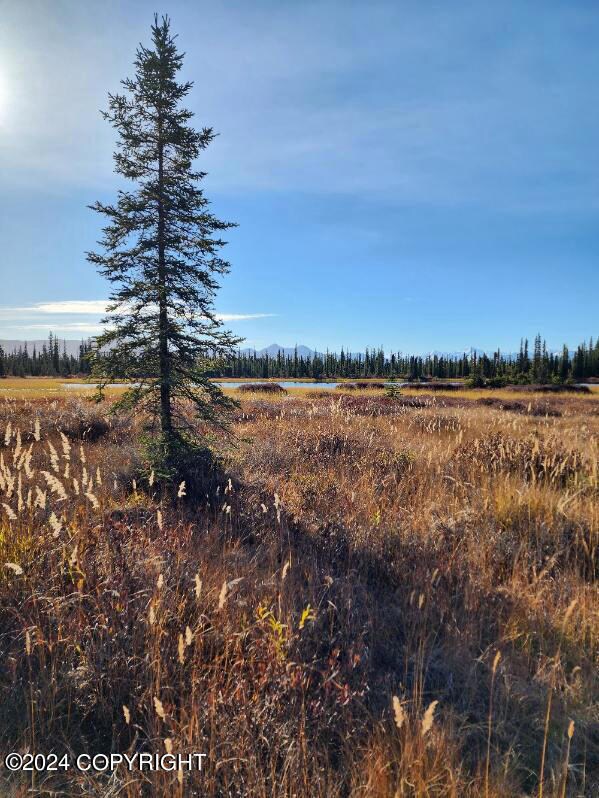 JPEG image-4651-AAA8-C6-0