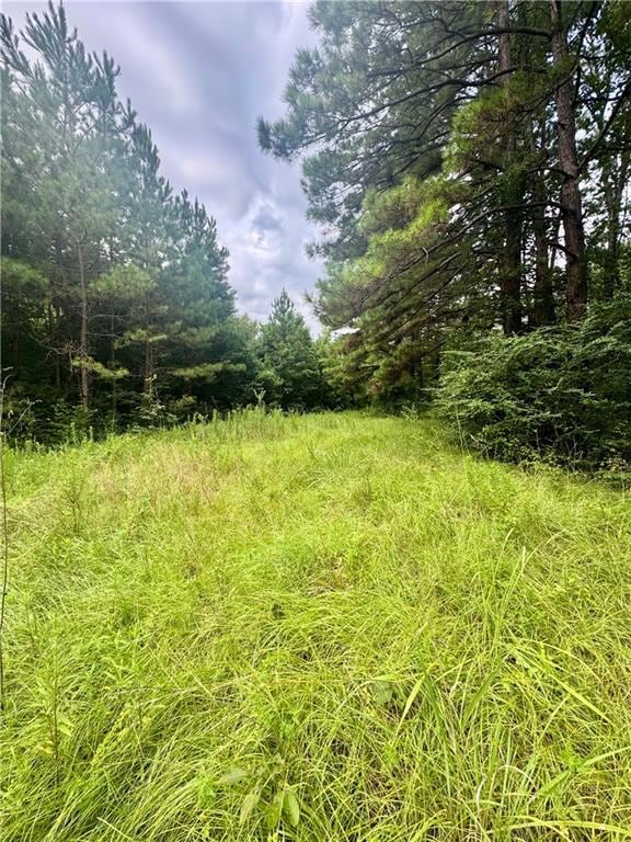 tbd Route 6, Natchitoches, LA 71457 - photo 4