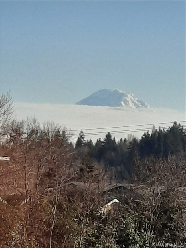 14416 34th Ln S, Tukwila, WA 98168 - photo 6