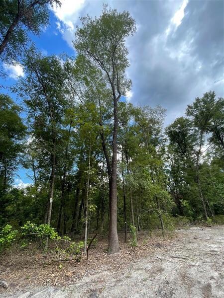 0 280th St unit GC508008, Branford, FL 32008 - photo 5