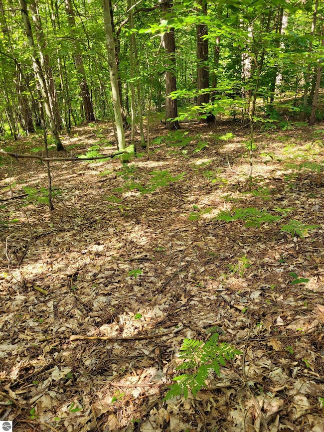 00 N Lakola Rd, Leroy, MI 49655 - photo 4