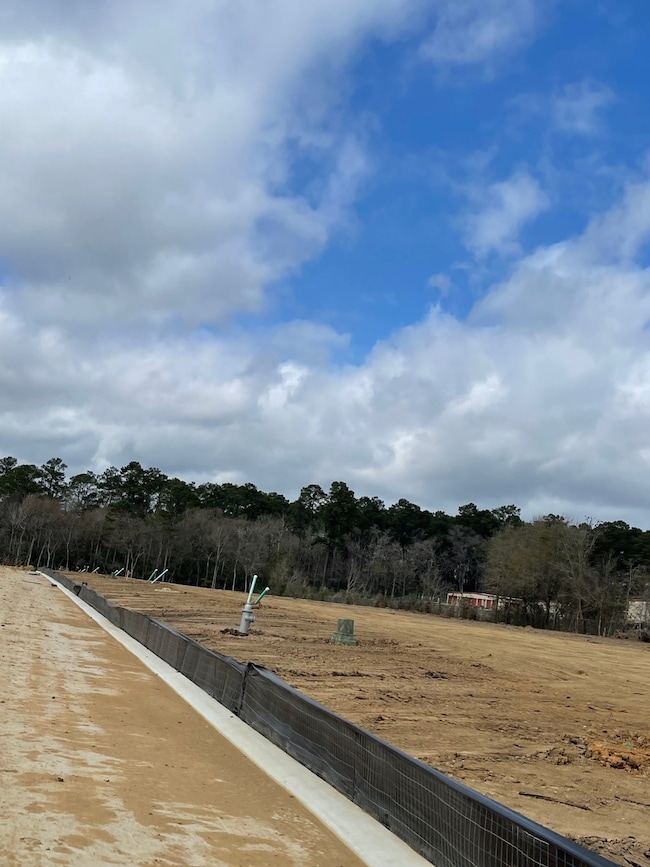 11691 Ruffian Dr, Willis, TX 77318 - photo 3