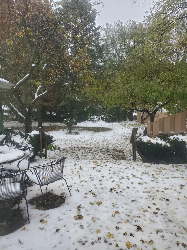 28W497 Douglas Rd unit 3, Naperville, IL 60564 - photo 2