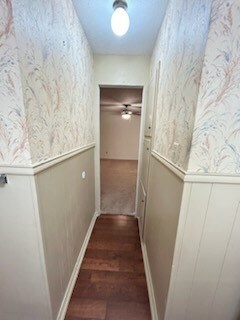 Hallway with wainscoting and dark wood-style flooring