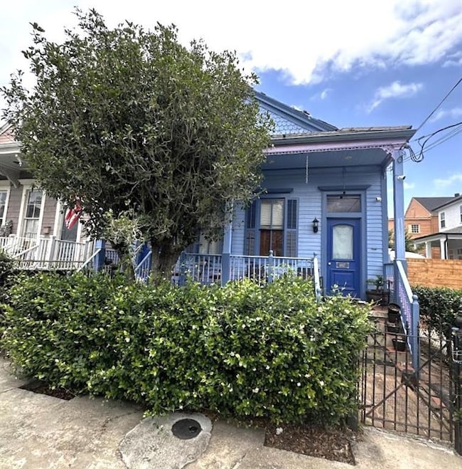 4817 Constance St, New Orleans, LA 70115 - photo 3