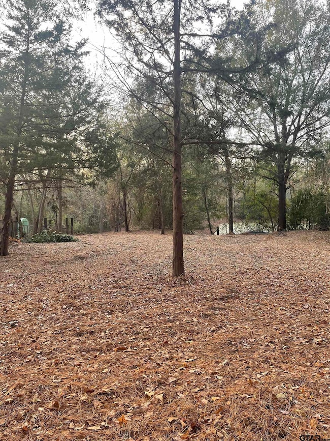 TBD Farm To Market Road 1804, Mineola, TX 75773 - photo 2