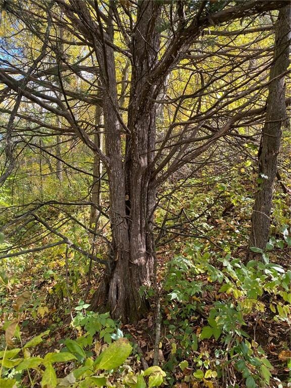 XX Donald Veto Ln, Galesville, WI 54630 - photo 4