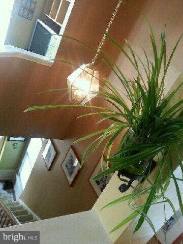 9091 Tanyard Ln, Lorton, VA 22079 - photo 5