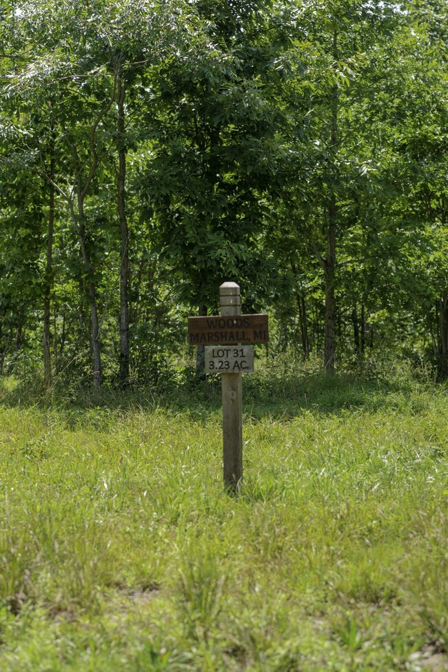 0 Bear Crawl Rd unit RTC2725717, Jasper, TN 37347 - photo 5