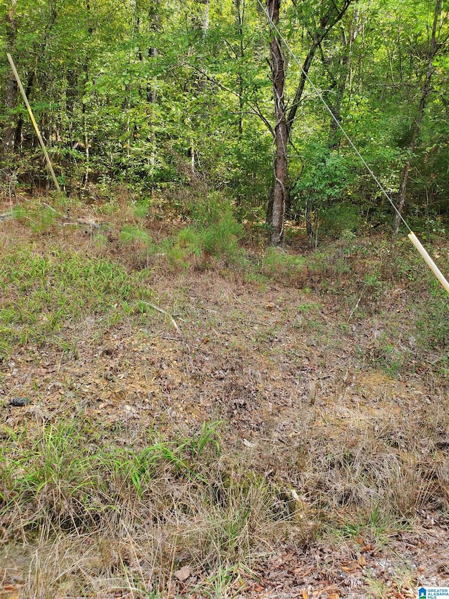 7595 McCombs Mill Rd unit 1, Pinson, AL 35126 - photo 4