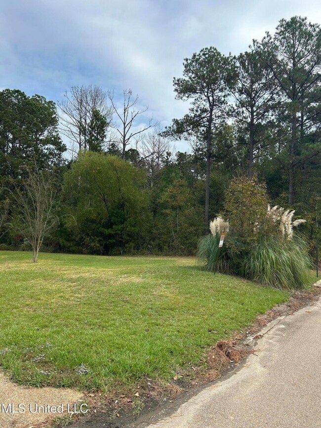 Tbd Old Fannin Rd, Brandon, MS 39047 - photo 5