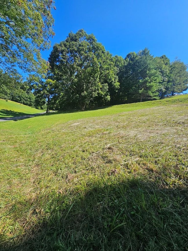 0 Goose Creek Rd, North Tazewell, VA 24630 - photo 3