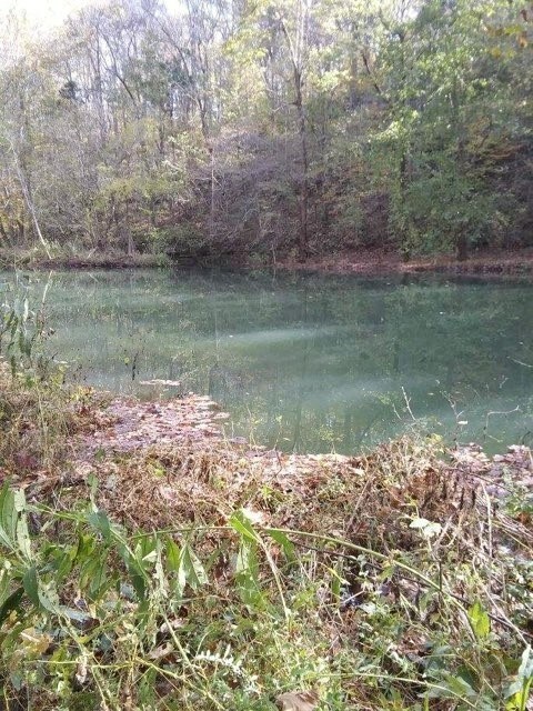 351 Rocky River Rd, Bone Cave, TN 38581 - photo 5