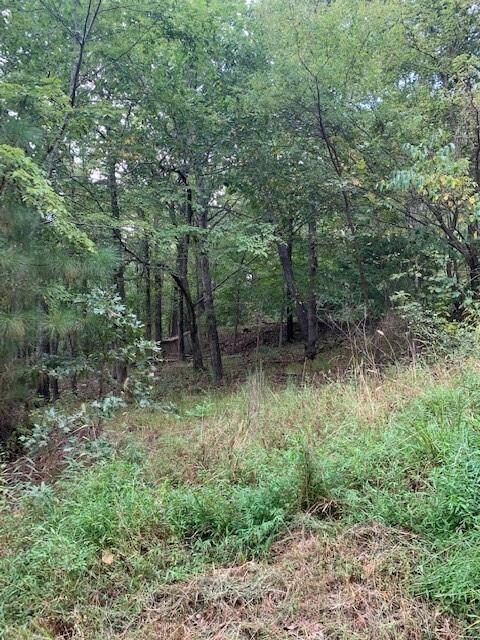 0 Patton Rd, West Fork Township, AR 72774 - photo 6