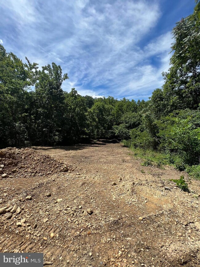 460 Dollar Ln, Bunker Hill, WV 25413 - photo 4