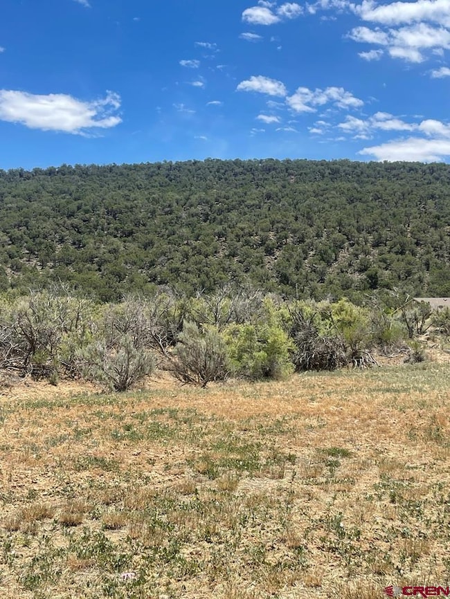 745 SE Pinyon St, Cedaredge, CO 81413 - photo 5