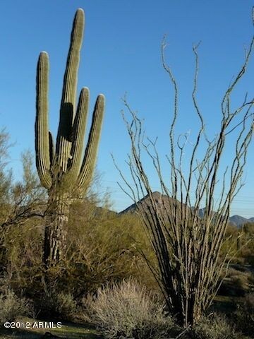 Surrounding Mountains