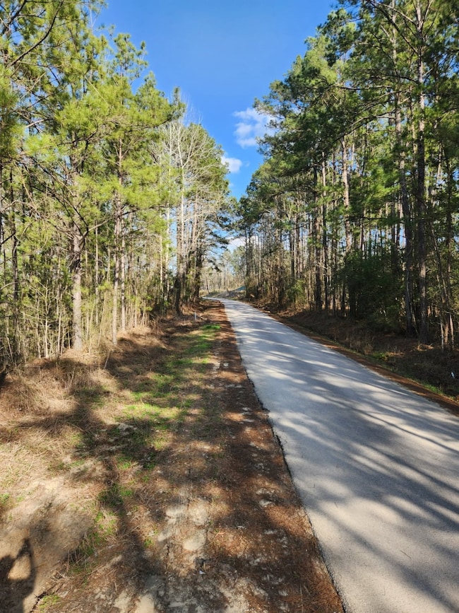 1037 Counts Rd, Point Blank, TX 77364 - photo 2