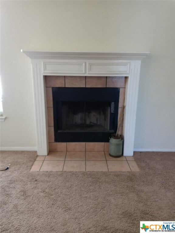 2918 Big Divide Rd, Copperas Cove, TX 76522 - photo 3