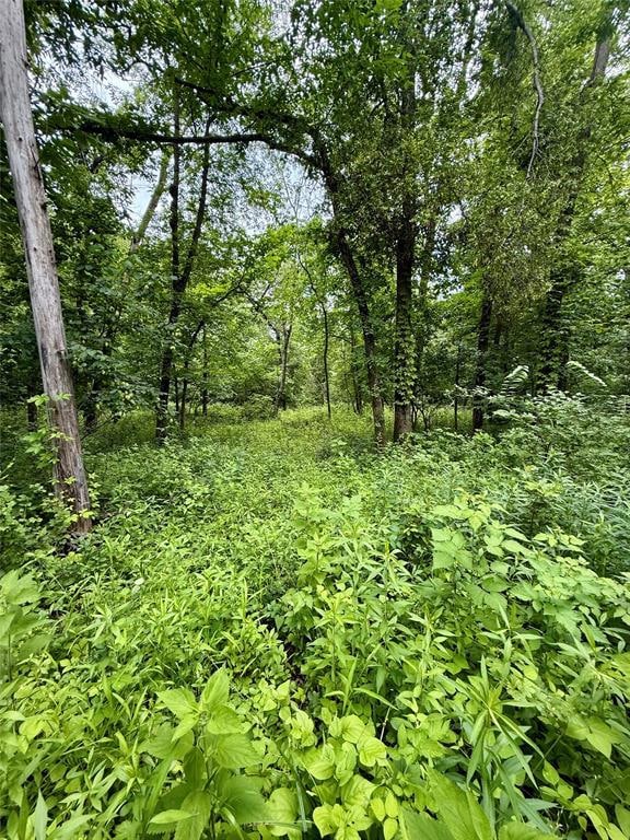 1038 L Ave, Boone, IA 50036 - photo 7