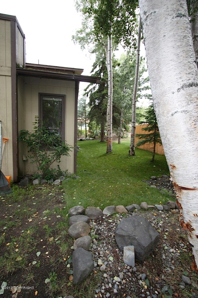 yard 3