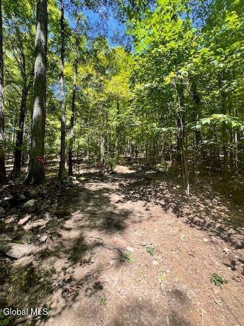 L7.41 Summit Lake Rd unit l7, Argyle, NY 12809 - photo 7