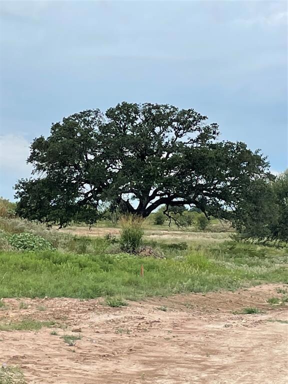 101 Tobiano Trace, Brock, TX 76087 - photo 3