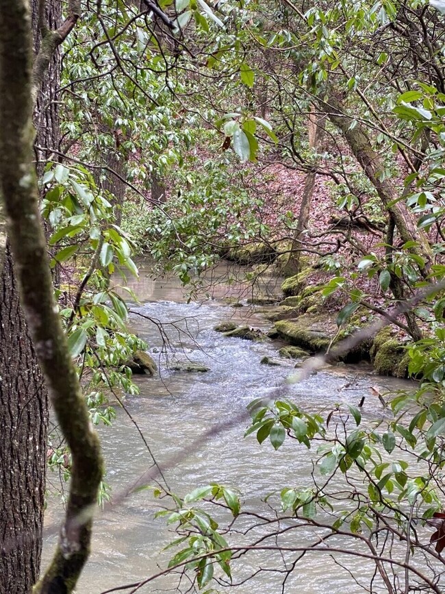 10 Thomas Springs Rd, Crossville, TN 38572 - photo 5