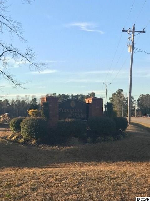 100 Hampton Ridge Rd unit Lot 1, Conway, SC 29527 - photo 7