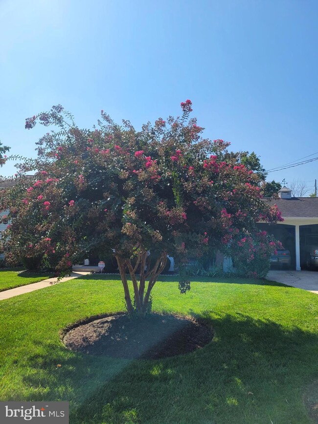 8503 Dunbar Ave, Hyattsville, MD 20785 - photo 6