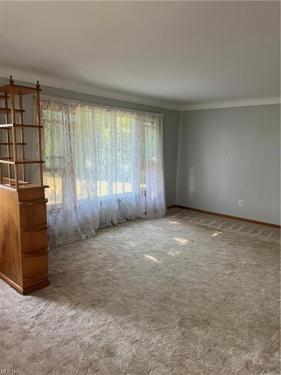Living Room 20 x 13