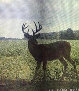 0 Reichelderfer Rd, Wapakoneta, OH 45895 - photo 7