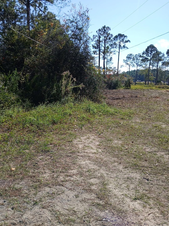 15 Santa Pine St, Santa Rosa Beach, FL 32459 - photo 2