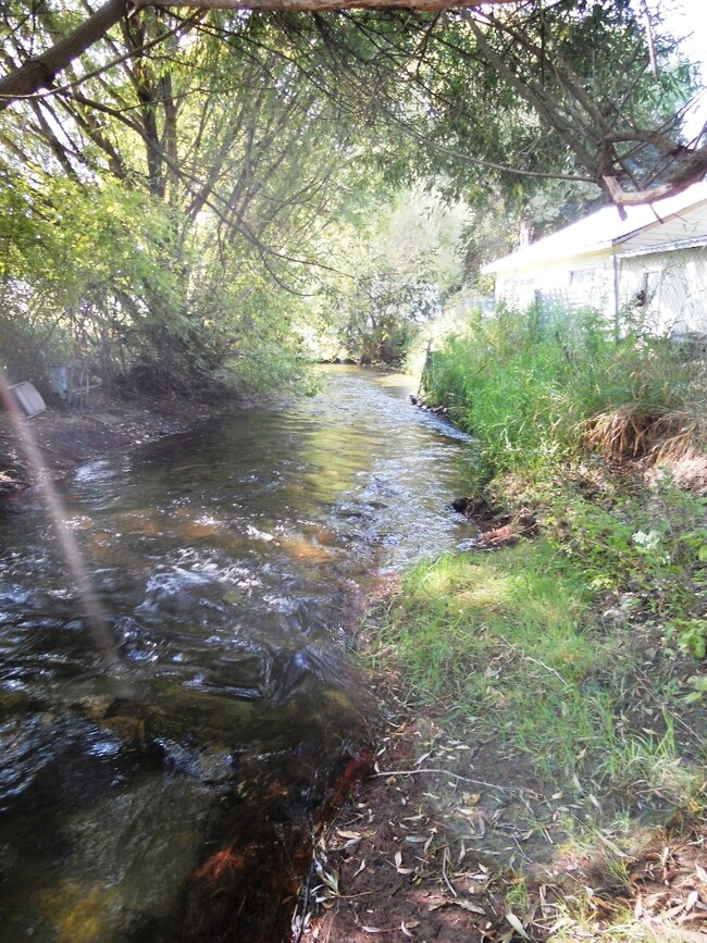 204 W King Ave, Chewelah, WA 99109 - photo 7