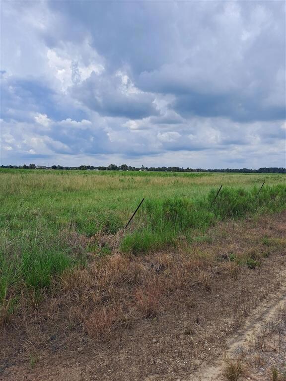 0 Greathouse Rd unit SWL25100853, Lake Charles, LA 70607 - photo 2