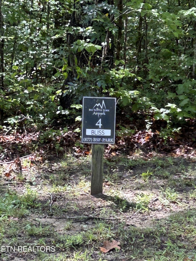 0 Bill Swain Dr unit 1305241, Oneida, TN 37841 - photo 2