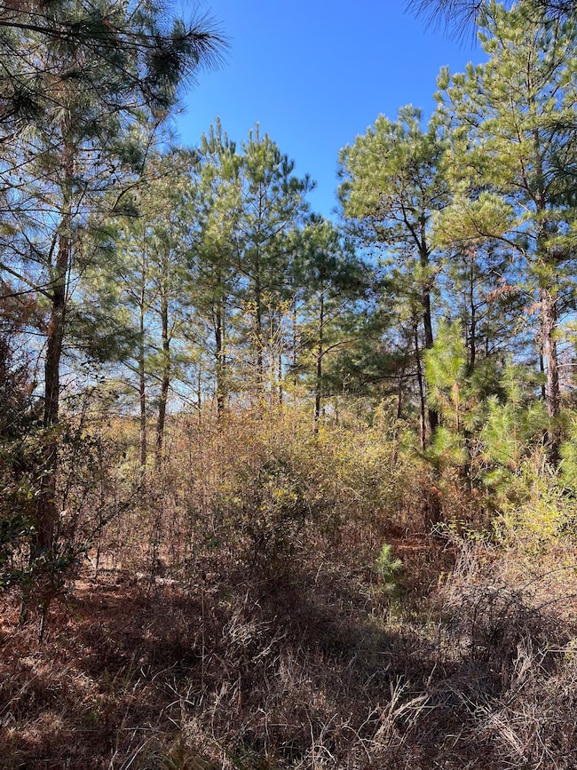 492 Southbound Rd, Swansea, SC 29160 - photo 5