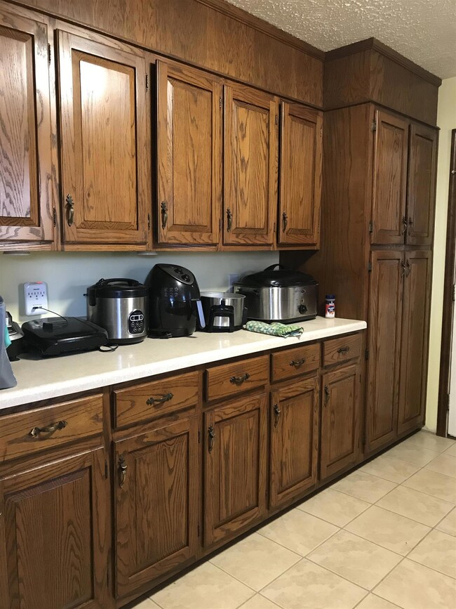 505 Brandontown Rd, Manchester, TN 37355 - photo 4