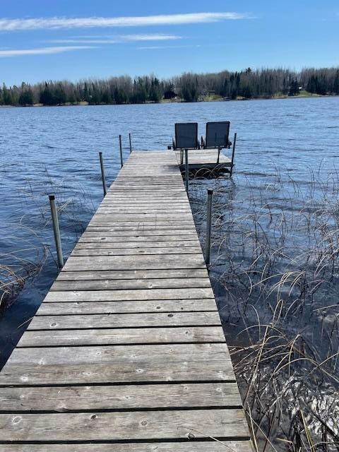 7285 W Leavitt Rd NE, Outing, MN 56662 - photo 3