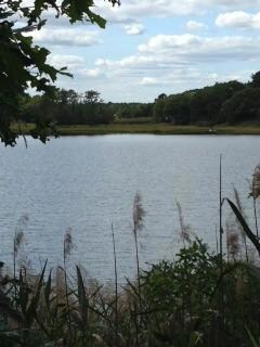 39 Rosepoint Ave, West Wareham, MA 02576 - photo 4